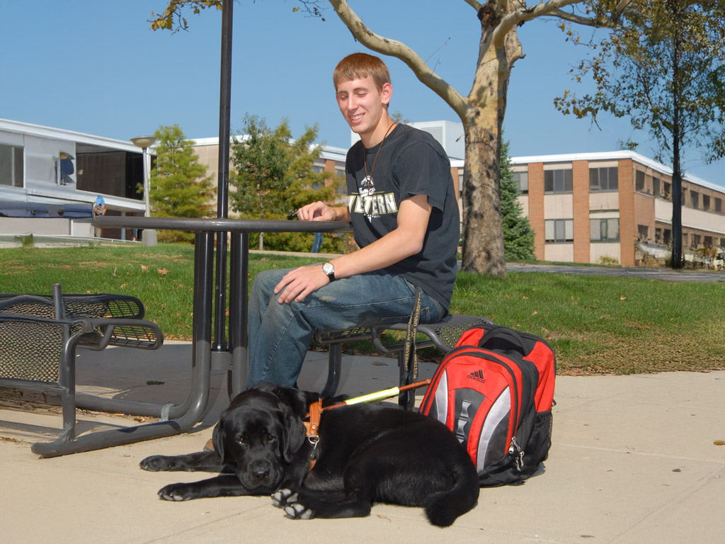 Guide Dog Ranger Guide Dog Readiness for Professionals | Leader Dogs for the Blind